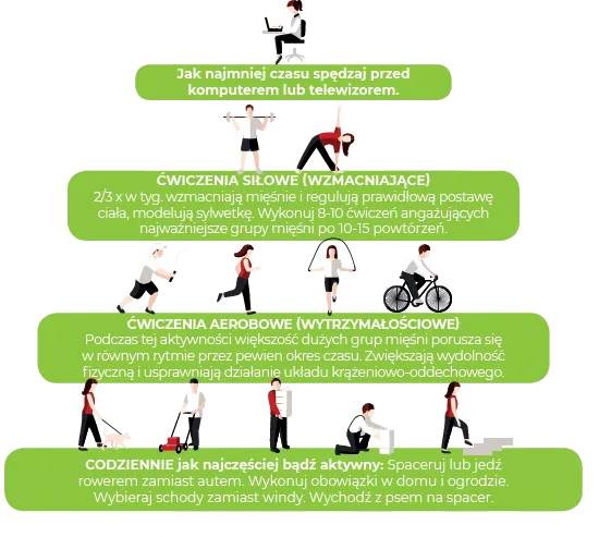 Zalecenia WHO dotyczące aktywności fizycznej infografika