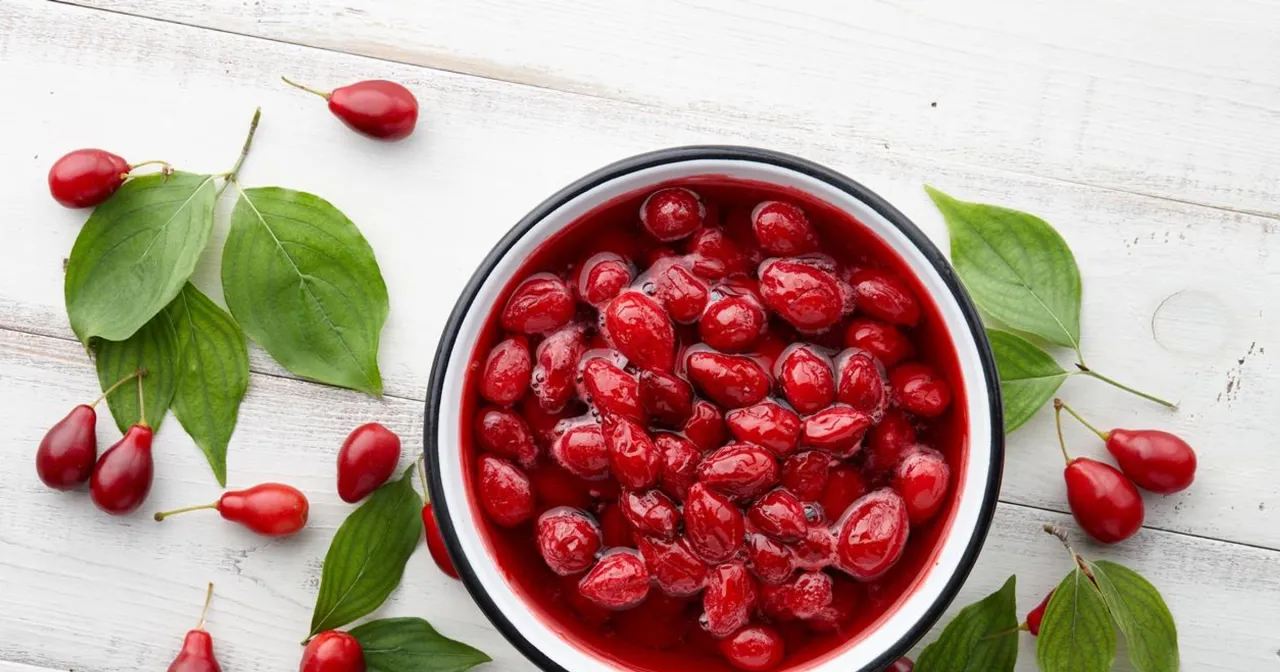 Czerwone, błyszczące owoce w misce i wok&oacute;ł niej, z zielonymi liśćmi. Tak wygląda dereń trujący, choć te owoce wyglądają apetycznie.