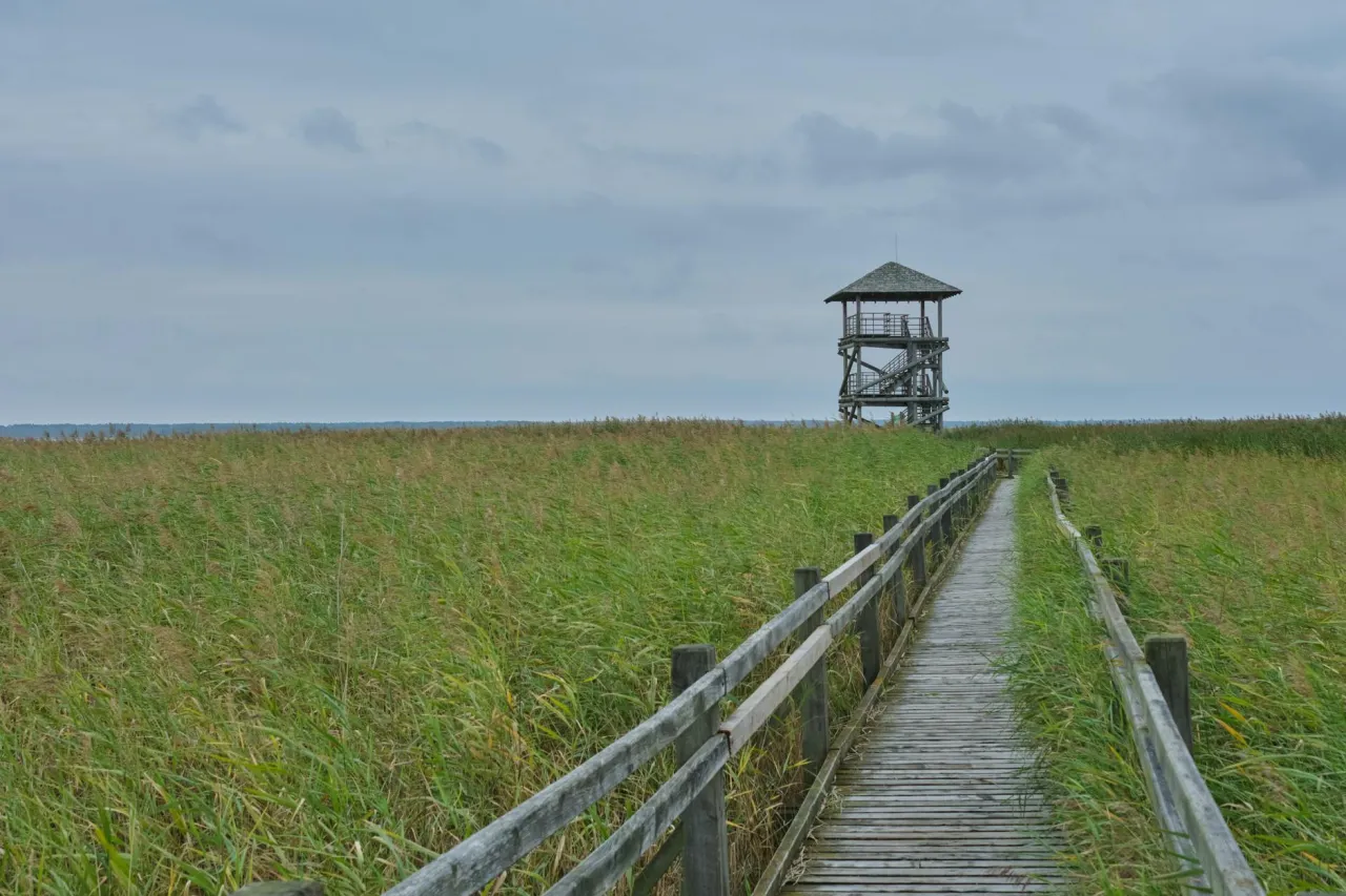 Rezerwat Imielty Ług kładki wieża widokowa