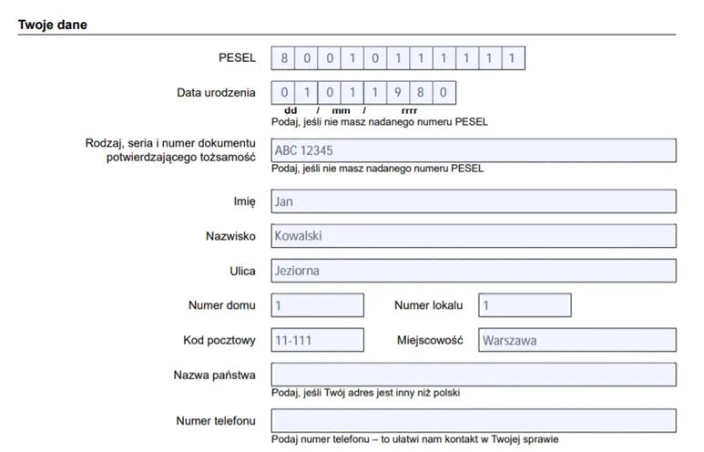 formularz ZAS-53 wzór