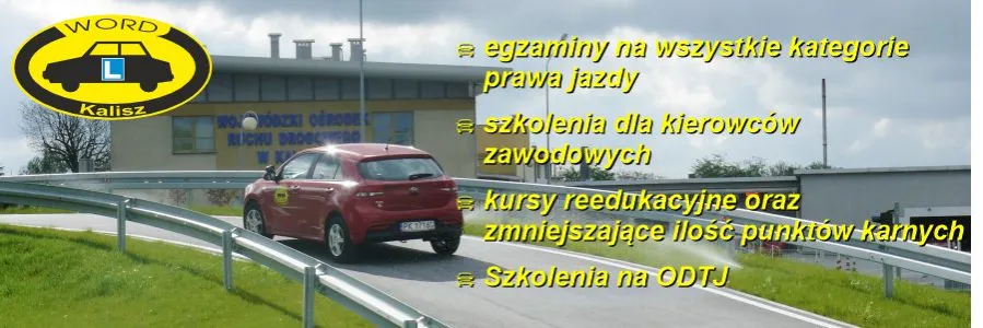 egzamin kontrolny WORD