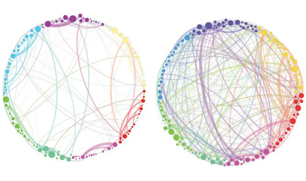 wizualizacja aktywności mózgu psylocybina DMN