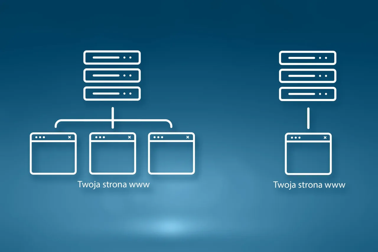 rodzaje hostingu wsp&oacute;łdzielony VPS dedykowany