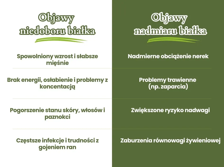 grupy ryzyka niedoboru białka