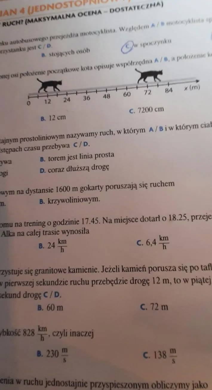 Zdjęcie Test z fizyki: Jak opisujemy ruch, by zdać bez stresu