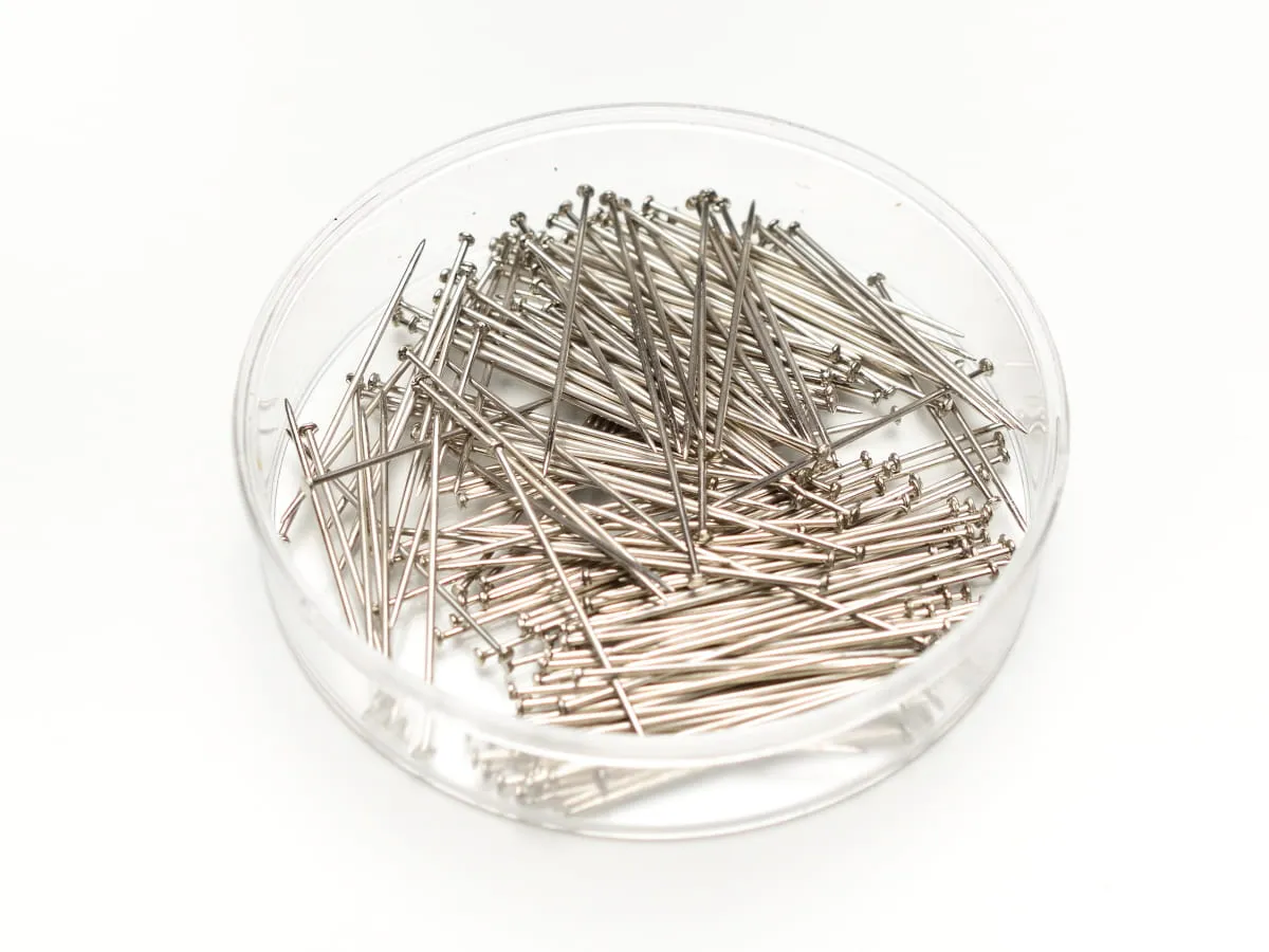 Mn&oacute;stwo metalowych szpilek z okrągłą gł&oacute;wką, ułożonych w przezroczystym pojemniku.