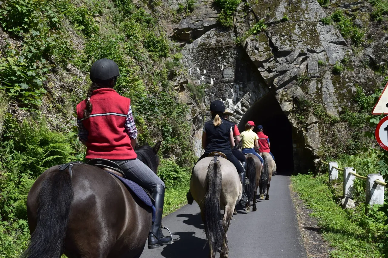 Kontakt Stadnina Koni Hestia