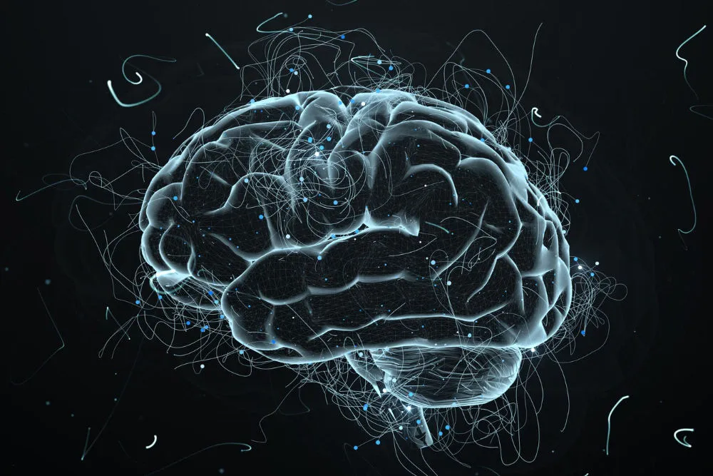 mózg reakcja na cukier dopamina