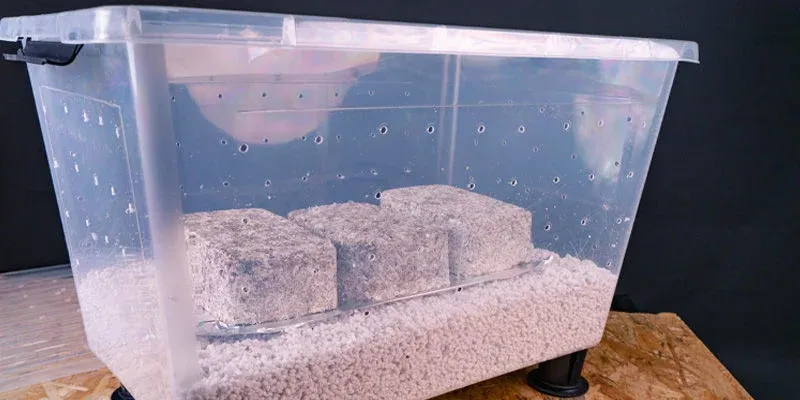 Shotgun Fruiting Chamber