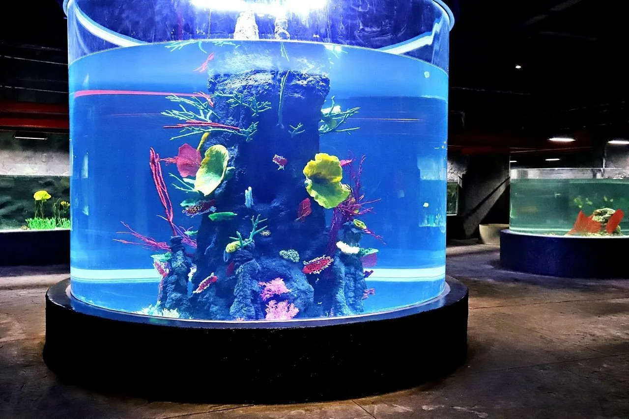 Orientarium ZOO Łódź podwodny tunel