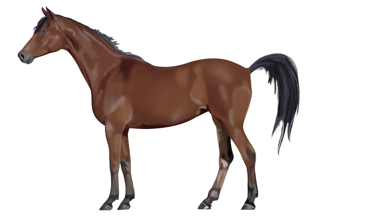 klacz w rui definicja