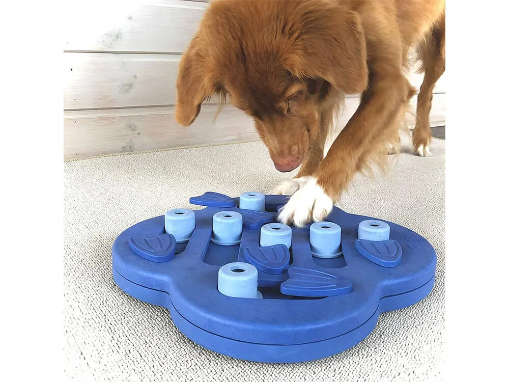 zabawki interaktywne dla psa