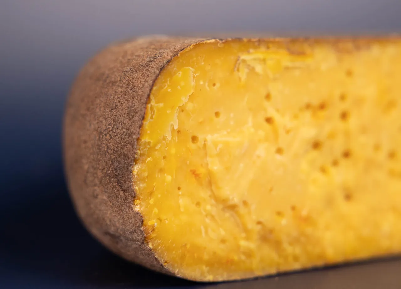 r&oacute;żne rodzaje ser&oacute;w owczych bezpieczne w ciąży