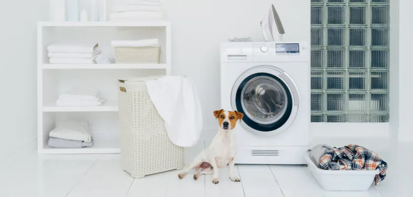 Pralki Beko z funkcją Pupil porównanie modeli