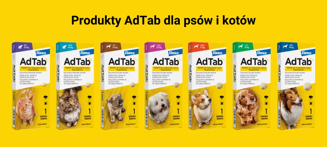 Zestawienie produkt&oacute;w na kleszcze dla kot&oacute;w