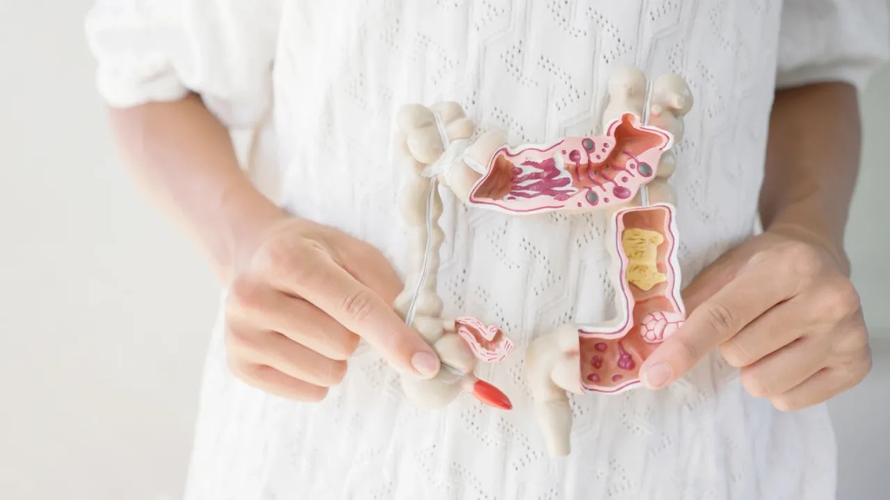 przejście probiotyku przez układ pokarmowy