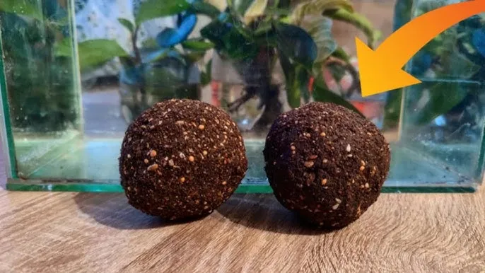 Składniki zanęty na leszcza