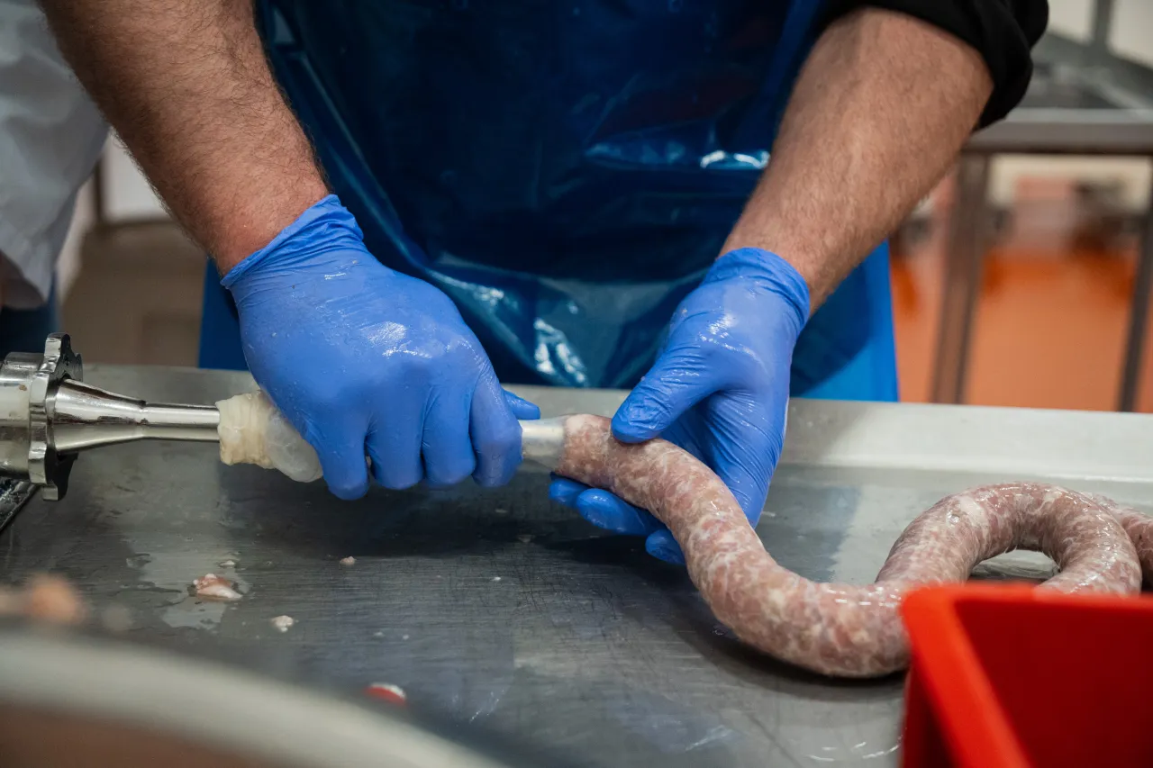 Ręce w niebieskich rękawiczkach napełniają maszynkę do kiełbas. Właściwe przygotowanie jelit to klucz do sukcesu, ale ile czasu moczymy jelita do kiełbasy?