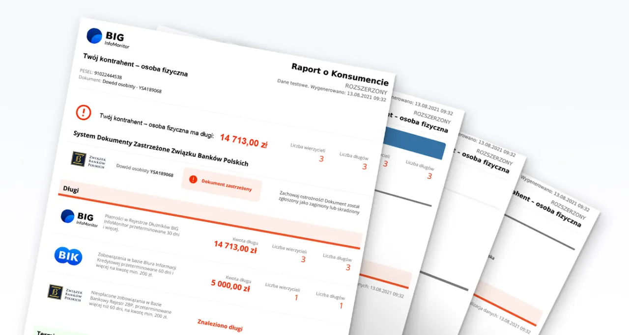 Raport BIG InfoMonitor przykładowy