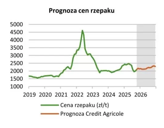 mapa cen rzepaku w Polsce 2026