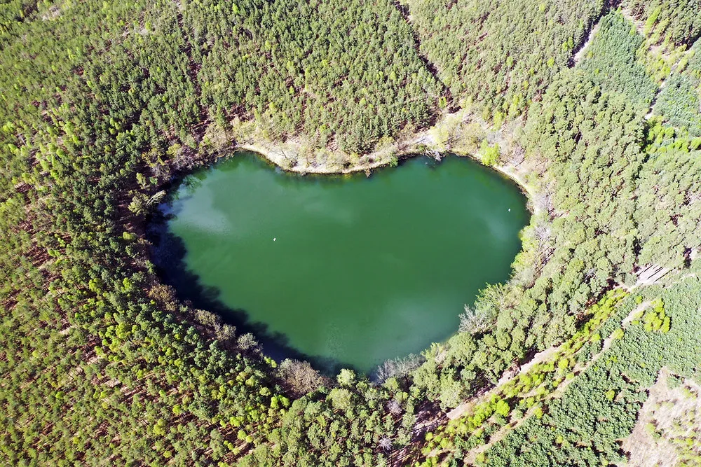 Jezioro Czarne Lubuskie z drona kształt serca