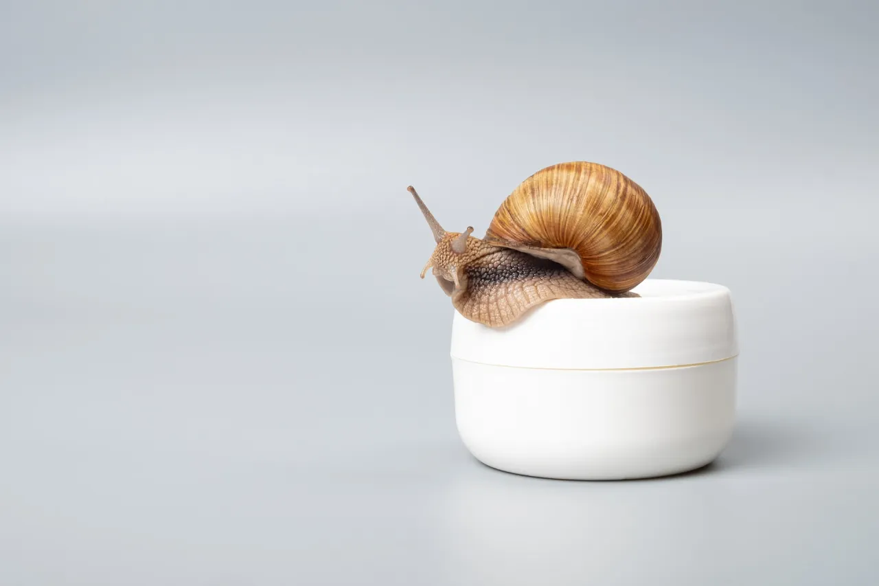 Kosmetyki ze śluzem ślimaka przed i po