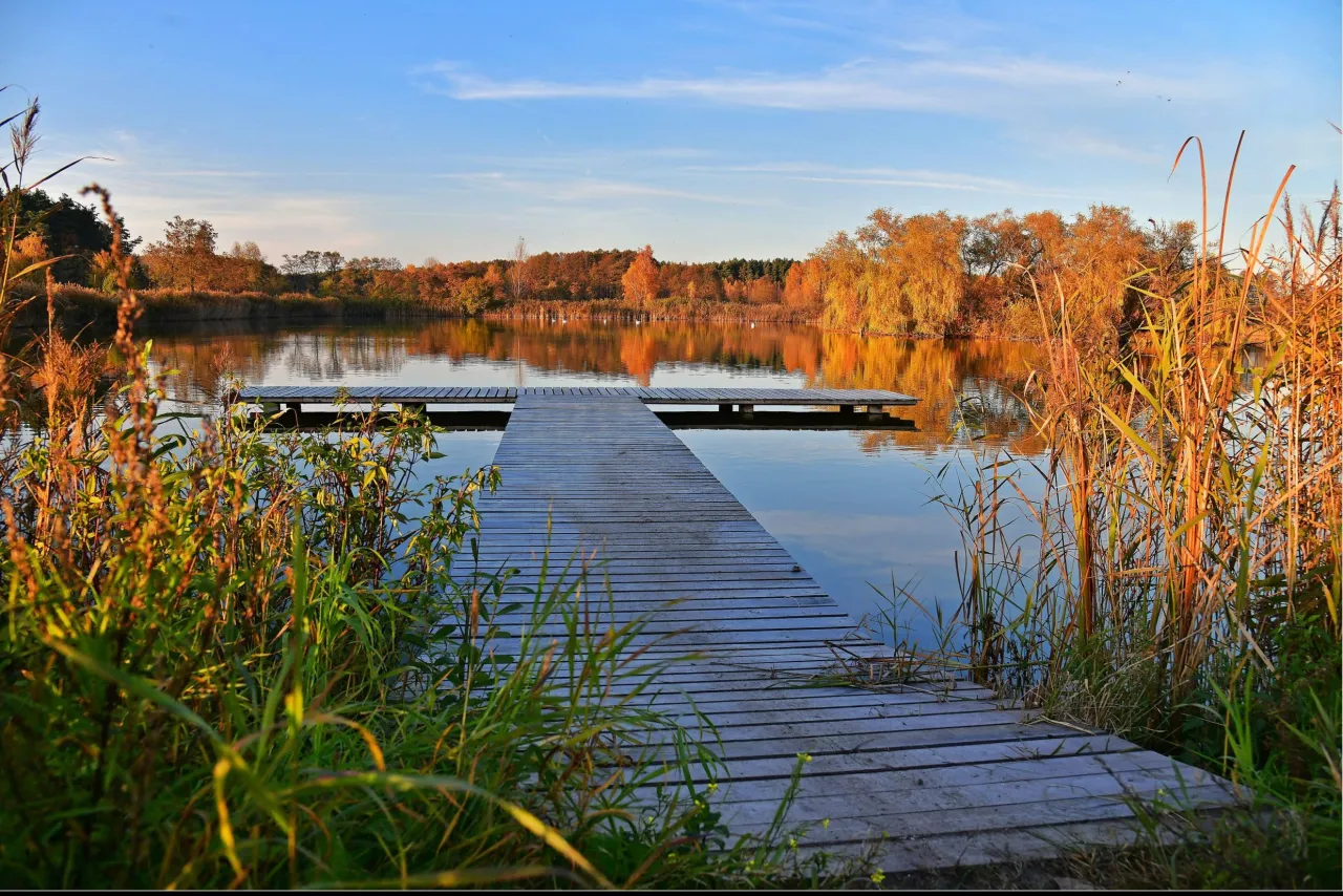 Rodzinny wyjazd wędkarski agroturystyka staw