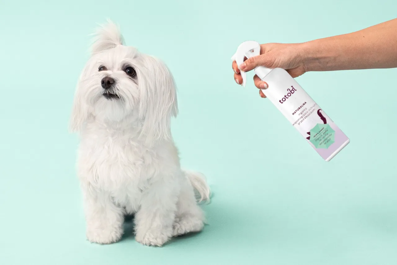 ochrona psa przed kleszczami całoroczna