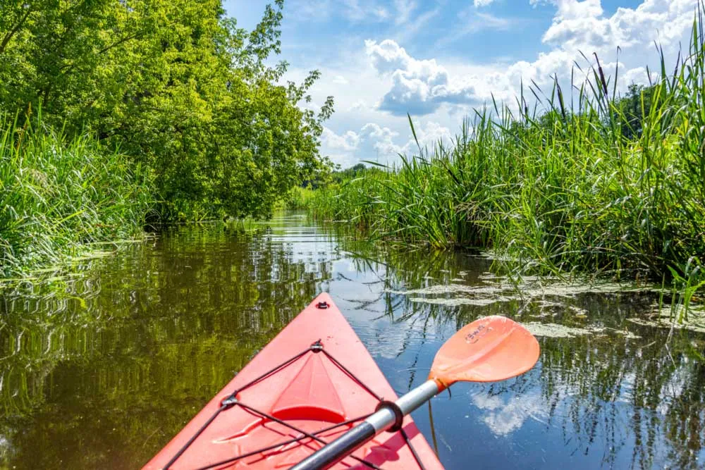 rzeka Wkra kajaki natura