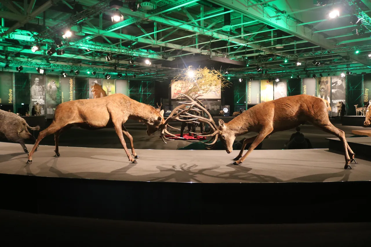 Wystawy stałe Muzeum Łowiectwa i Jeździectwa