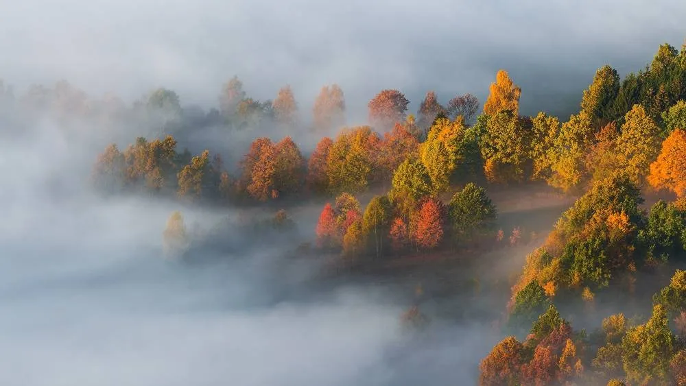 G&oacute;ry jesienią bez ludzi poranek mgła
