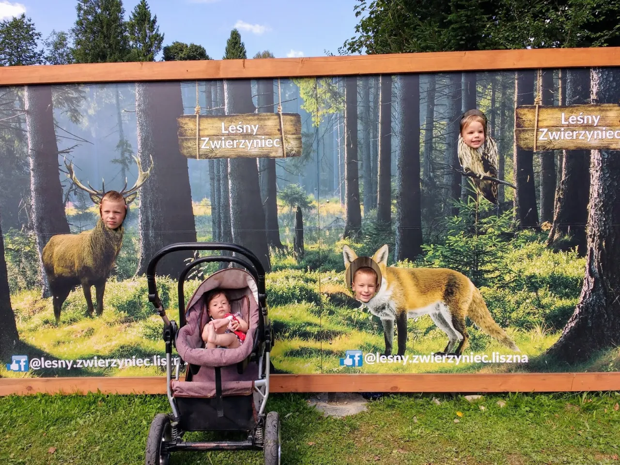 Leśny Zwierzyniec Liszna dzieci