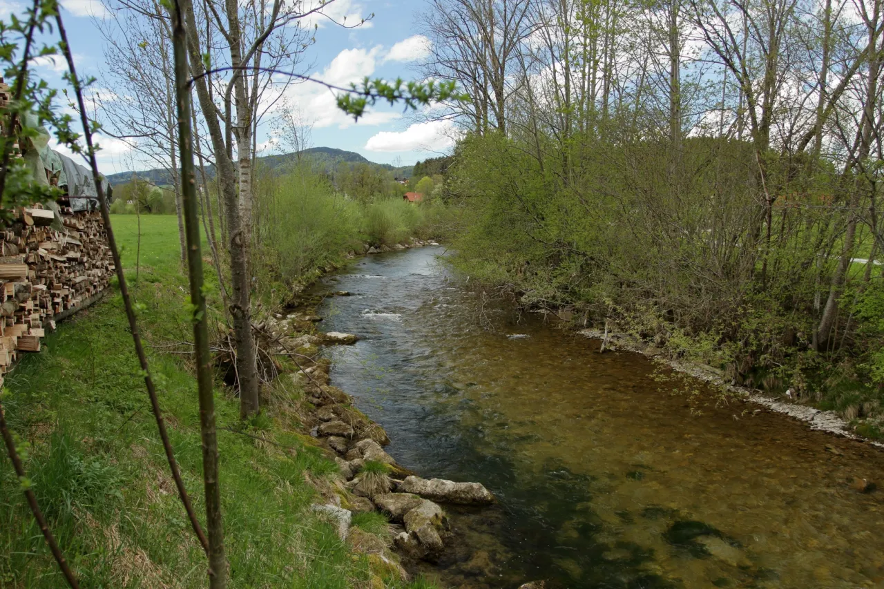 Rzeka z zaznaczonym ujściem, źródłem i dopływem