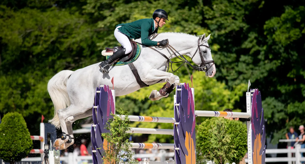 Grand Prix skoki przez przeszkody vs ujeżdżenie