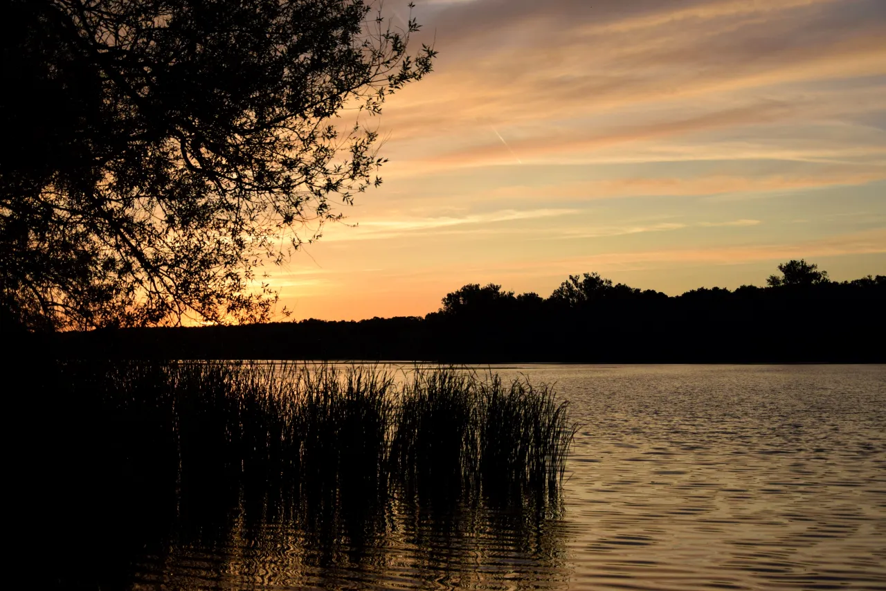 Wielkopolski Park Narodowy jezioro