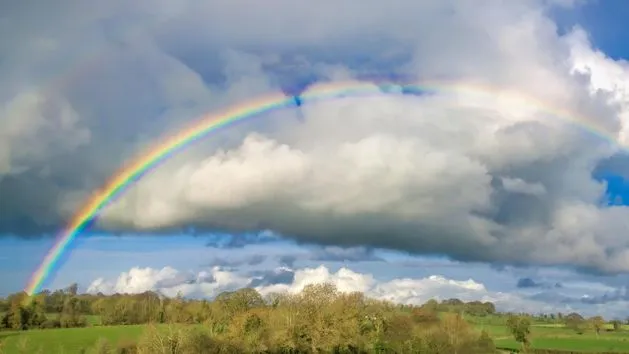 Zdjęcie Jak powstaje zjawisko tęczy? Odkryj tajemnice tego pięknego łuku
