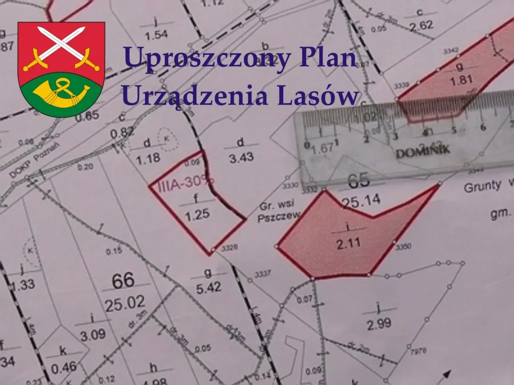 uproszczony plan urządzenia lasu przykład