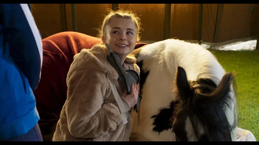 Życie w cuglach koń Bob