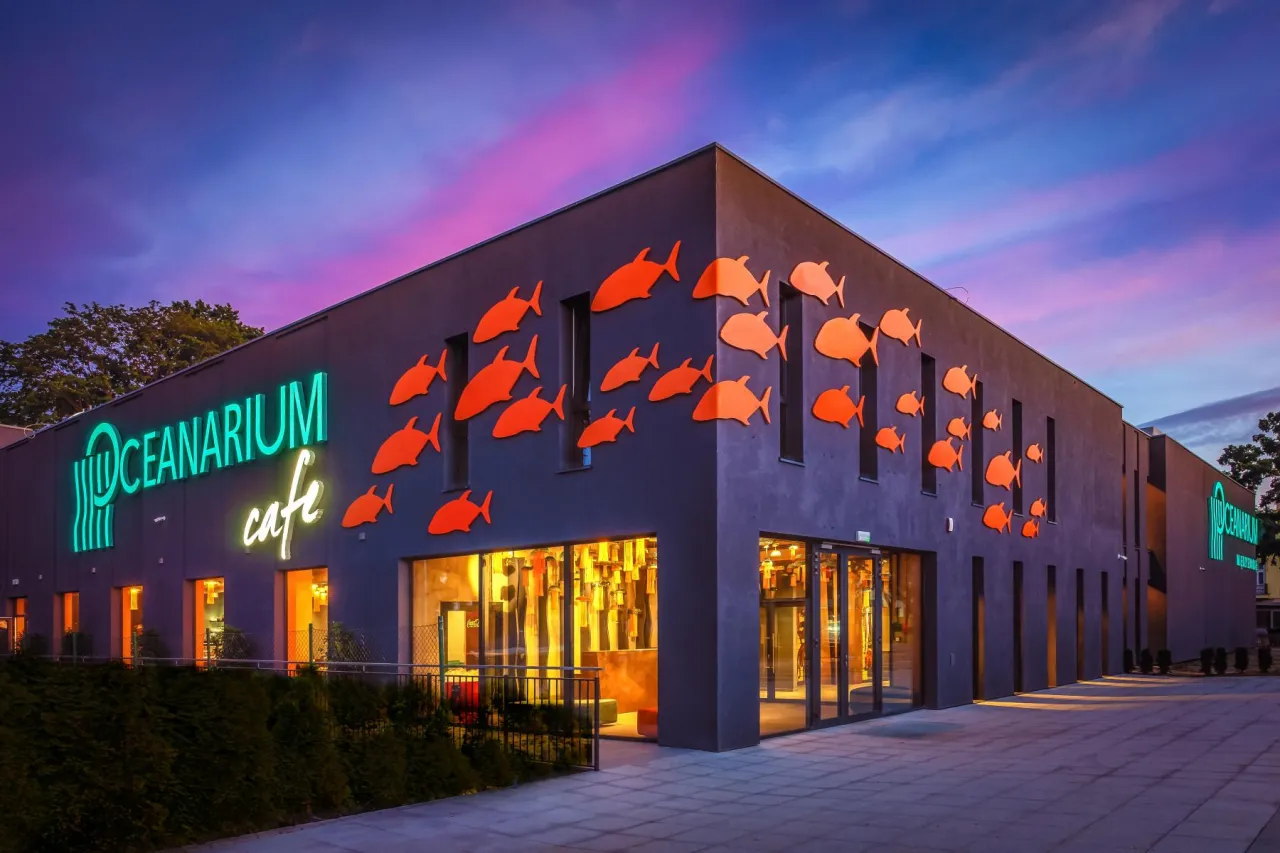 Elegancka fasada restauracji Oceanarium Cafe w Międzyzdrojach, ozdobiona pomarańczowymi rybami, przyciąga wzrok wieczorem.