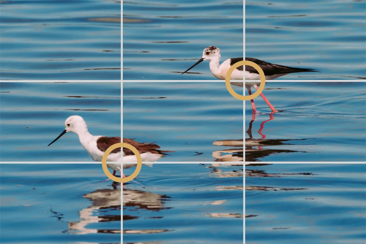 zasada trójpodziału fotografia