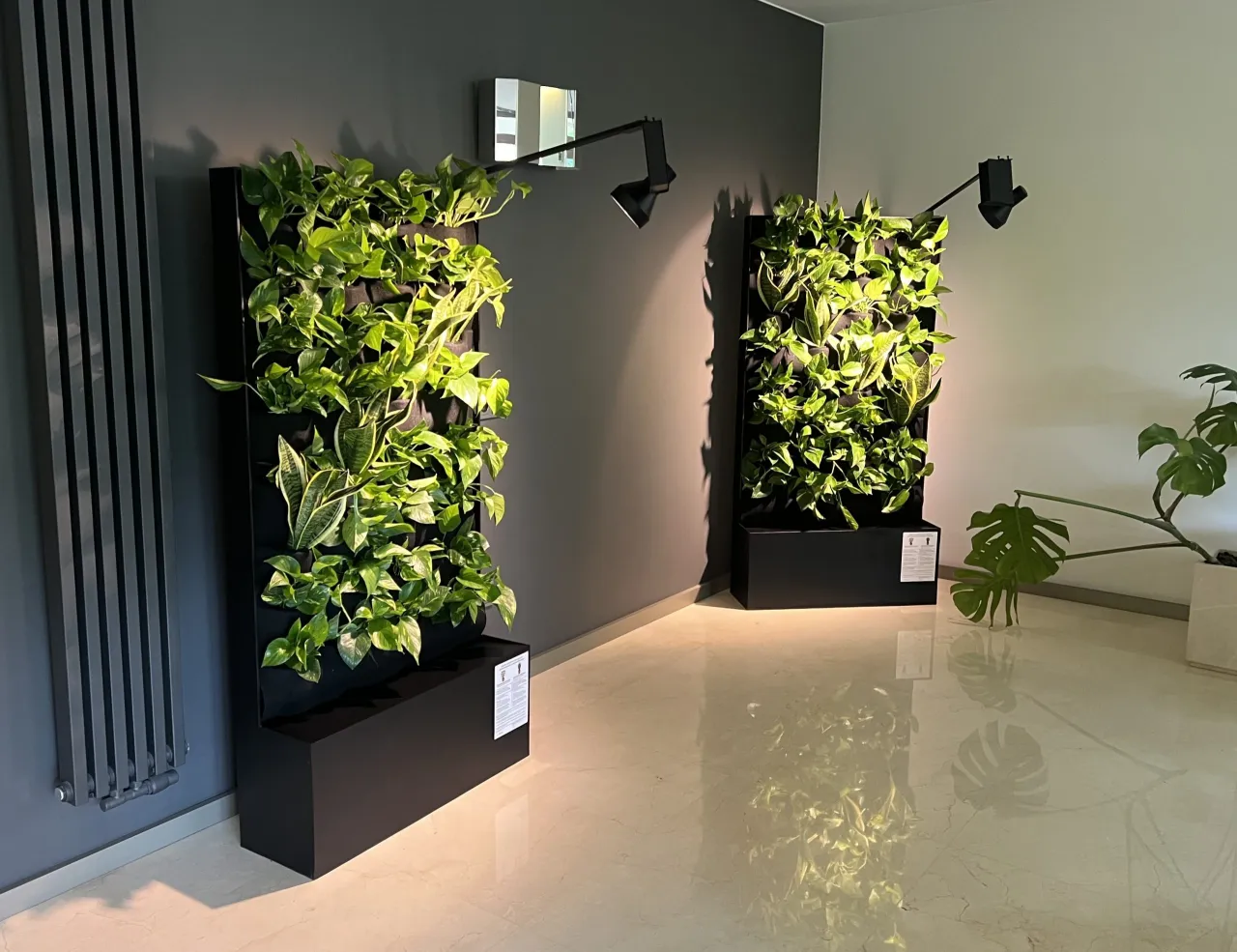 Ogród wertykalny w małej przestrzeni