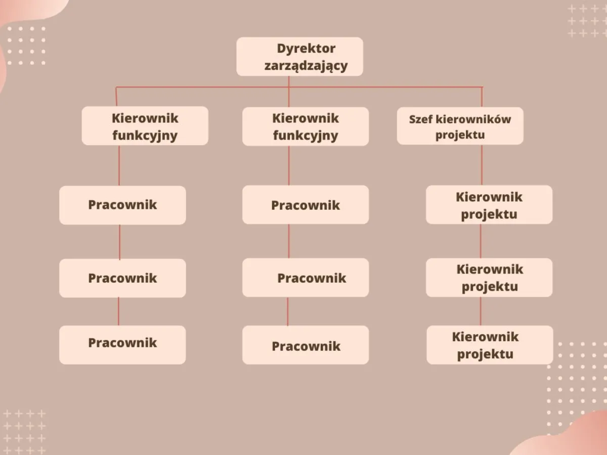Struktura zatrudnienia w firmie
