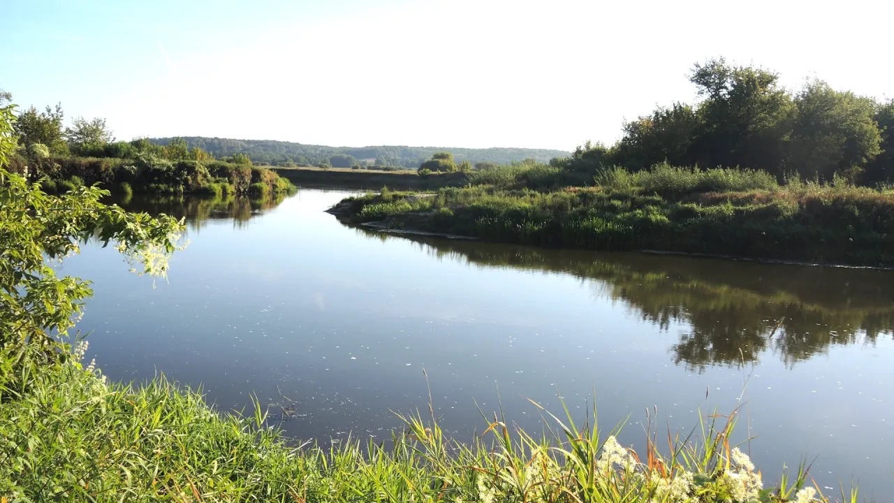 Spokojna rzeka meandruje przez zielone tereny, przypominając dzikie krajobrazy rezerwat&oacute;w przyrody Podlasie.
