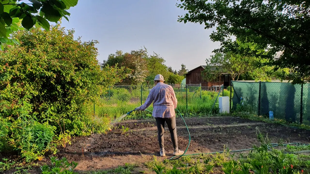 działka ROD sprzedaż dokumenty