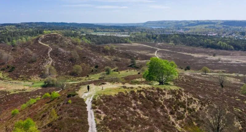 S&oslash;h&oslash;jlandet D&auml;nemark Wanderweg Landschaft