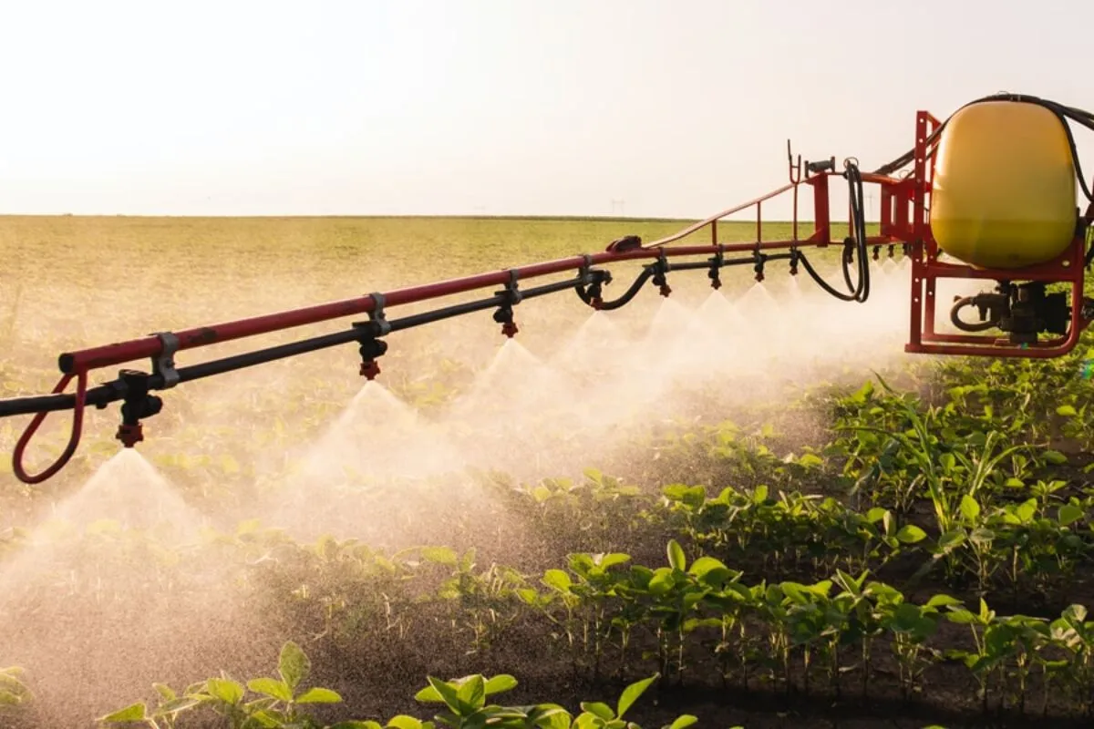 Opryskiwacz polowy praca w zbożu ozimym