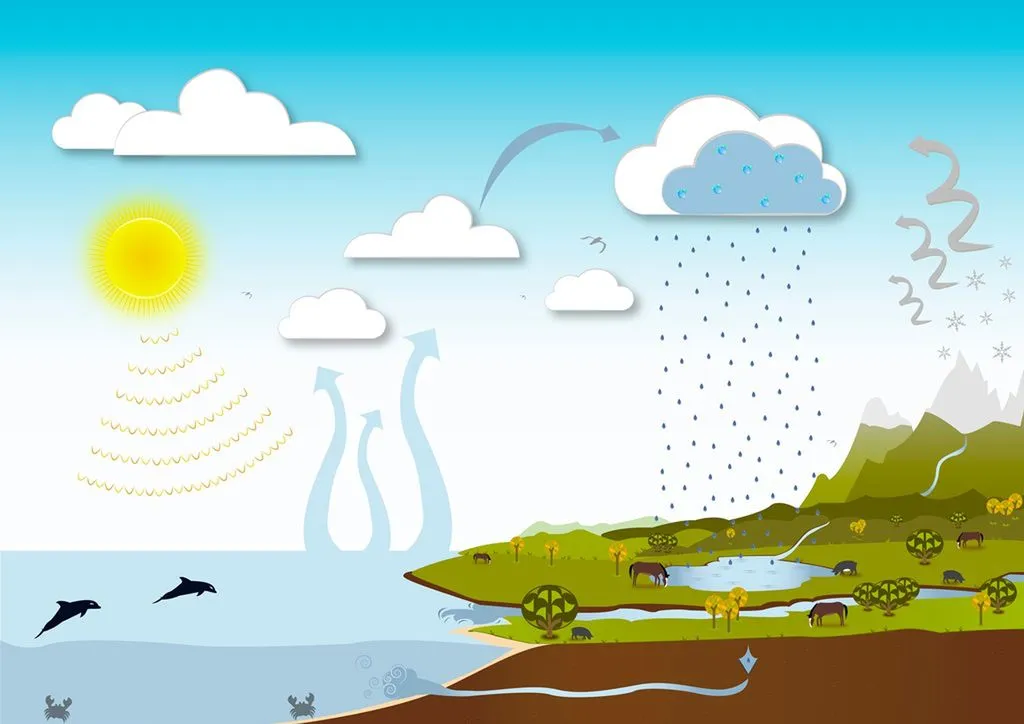 cykl hydrologiczny dla dzieci ilustracja