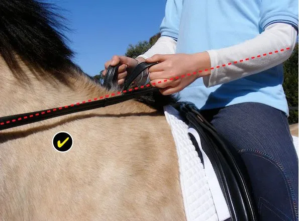 Błędy w trzymaniu wodzy