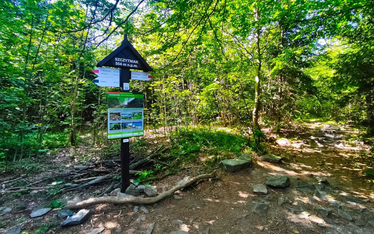 Tablica informacyjna w rezerwacie przyrody Szczytniak. Leśna ścieżka prowadzi przez bujną zieleń.