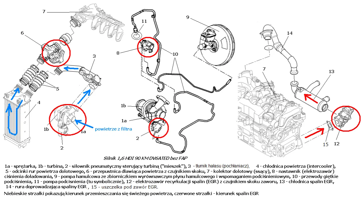 schemat ominięcia chłodnicy EGR
